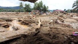 Kayu hanyut bersama banjir