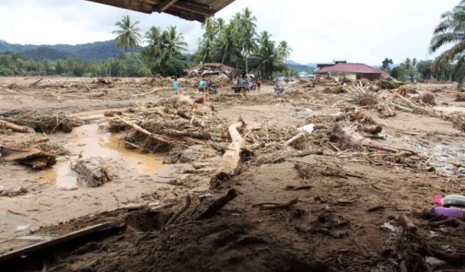 
					Kayu hanyut bersama banjir