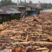 Penampakan ribuan kayu gelondongan yang terseret arus dari hulu ke hilir di bencana banjir Sumatra (Foto: Instagram/@infobandaaceh)