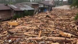 Penampakan ribuan kayu gelondongan yang terseret arus dari hulu ke hilir di bencana banjir Sumatra (Foto: Instagram/@infobandaaceh)