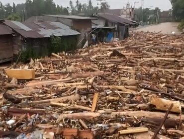 Penampakan ribuan kayu gelondongan yang terseret arus dari hulu ke hilir di bencana banjir Sumatra (Foto: Instagram/@infobandaaceh)