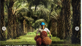 POSCO Group Korea Selatan, telah mengakuisisi 65,72% saham PT Sampoerna Agro Tbk (SGRO) dari Grup Sampoerna melalui entitas Twinwood Family Holdings Ltd senilai Rp9,44 triliun untuk 1,19 miliar lembar saham.​ Maka perusahaan Korsel itu berhasil mewmliki lahan sawit 150.000 ha, atau dua kali luas ibu kota Korsel. Foto: Instagram@poscointl