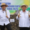 Program Percepatan Swasembada Gula Nasional melalui kegiatan Bongkar Ratoon dan Pengembangan Areal Tebu tahun 2025 resmi diluncurkan di Kabupaten Jombang, Jawa Timur, pada Rabu (3/12/2025). Foto: Jombangkab.go.id