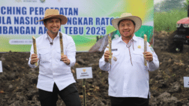 Program Percepatan Swasembada Gula Nasional melalui kegiatan Bongkar Ratoon dan Pengembangan Areal Tebu tahun 2025 resmi diluncurkan di Kabupaten Jombang, Jawa Timur, pada Rabu (3/12/2025). Foto: Jombangkab.go.id