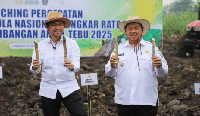 
					 Program Percepatan Swasembada Gula Nasional melalui kegiatan Bongkar Ratoon dan Pengembangan Areal Tebu tahun 2025 resmi diluncurkan di Kabupaten Jombang, Jawa Timur, pada Rabu (3/12/2025).  Foto: Jombangkab.go.id