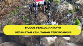 Penegakan Hukum Kementerian Kehutanan menyita bartang barang bukti illegal  loggin yang diubah menjadi kayu resmi  dengan modus PHAT. Foto: Instagram@gakkum_kehutanan