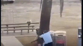 Didua seorang petugas keamanan berusaha menangkap seorang tersangka pelaku penembankan di Pantai Sudney, Minggu 14 Desember 2025. Penembakan terjdi pada saat dilaksanakn perayaan Hanukkah orang Yahudi, menyebabkan 12 orang tewqas dan 29 lainnya luka-luka. Foto: Instagram@inilahcom