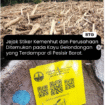 Polda lampung temukan bukti iodentitas kayu dari kapal pengangkut yang terdampar di Lampung, kayu tersebut terdapat identitas dan surat resmi dari Kemenhut ditebang dari hutan wilayah Sumetara Barat. Foto: Instagram@coachaddie.real