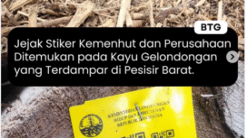Polda lampung temukan bukti iodentitas kayu dari kapal pengangkut yang terdampar di Lampung, kayu tersebut terdapat identitas dan surat resmi dari Kemenhut ditebang dari hutan wilayah Sumetara Barat. Foto: Instagram@coachaddie.real