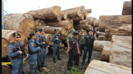 Barang bukti berupa kayu ilegal di pelabuhan Hresik 4.610 m2, disita dari perusahaan PTB BRN, milik Icksan Arsal. Pwerkaranya segera dilimpahkan ke kejaksaan. Foto: odk/gakkum_kehutanan