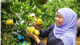 Gubernur saat pmanen di Pasuruan (Ist)