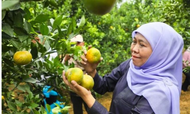 
					Gubernur saat pmanen di Pasuruan (Ist)