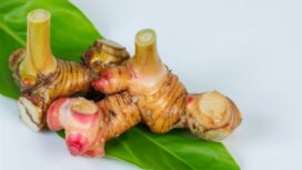 Bahan dapur lengkuas