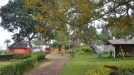 Acara lintas alam diikuti 2000 peserta bertajuk: Lelono by Mantra dilaksanakan 17 Januari 2026, start-finis di lokasi Agrowisata Batu. Foto: kredonews.com/ anwar hudiono