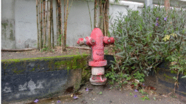 Pembangunan gedung di Jombang wajib mempunyai rekomendasi proteksi kebakaran dalam pengajuan Persetujuan Bangunan Gedung (PBG) maupun Sertifikat Laik Fungsi (SLF). Kebijakan ini resmi diterapkan sejak akhir Desember 2025. Foto: kredonews.com,
/ elok apriyanto