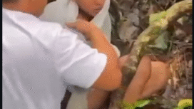 Tim SAR Gabungan, TNI, Polri dan warga masyarakat berhasil menemukan Abiem Briliant, 16, pelajar SMK Negeri 2 Lebongl, sasal Desa Tangua Uram Jaya, Kabupaten Lebong, Bengkulu. Ia dilaporkan hilang di Gunung Kabar selama tiga hari sejak 17 Januari 2026. Foto: Instagram@adi_irawan_dje