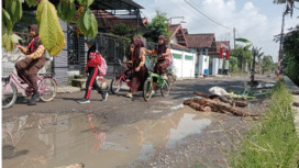 Jalan yang ditanami tersebut merupakan akses warga menuju makam wilayah Mojowarno 2, Desa Mojowarno. Kerusakan jalan disebut sudah berlangsung lama dengan panjang mencapai sekitar 600 meter dan lebar kurang lebih 3,5 meter. Foto: kredonews.com/ elok apriyanto