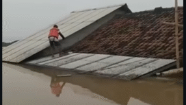 Kondisi Terkini Rumah Panggung KDM di Kampung Kampek, Desa Karangligar, Telukjambe Barat Karawang. Karena banjirnya lumayan tinggi mencapai lebih 3 meter sehingga lantai atasnya ikut kebanjiran juga. Foto: Instagram@karawangindo_offcial