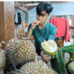 Madiun saat ini punya varitas unggul durian bernama Kawuk Raja bahkan sudah bersertipikat BRIN, saingan berat Musang King. Foto: kredonews.com/ bambang tjuk winarno