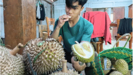 Madiun saat ini punya varitas unggul durian bernama Kawuk Raja bahkan sudah bersertipikat BRIN, saingan berat Musang King. Foto: kredonews.com/ bambang tjuk winarno