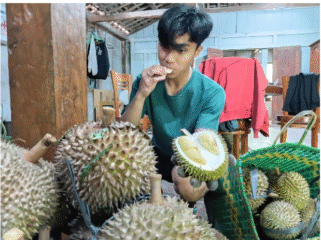 Madiun saat ini punya varitas unggul durian bernama Kawuk Raja bahkan sudah bersertipikat BRIN, saingan berat Musang King. Foto: kredonews.com/ bambang tjuk winarno