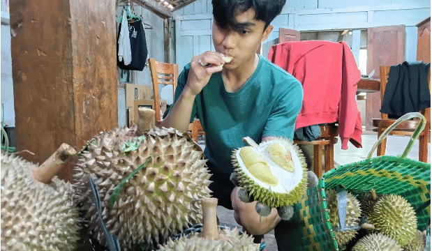 Madiun saat ini punya varitas unggul durian bernama Kawuk Raja bahkan sudah bersertipikat BRIN, saingan berat Musang King. Foto: kredonews.com/ bambang tjuk winarno