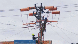 Ilustrasi. Foto: dok/net