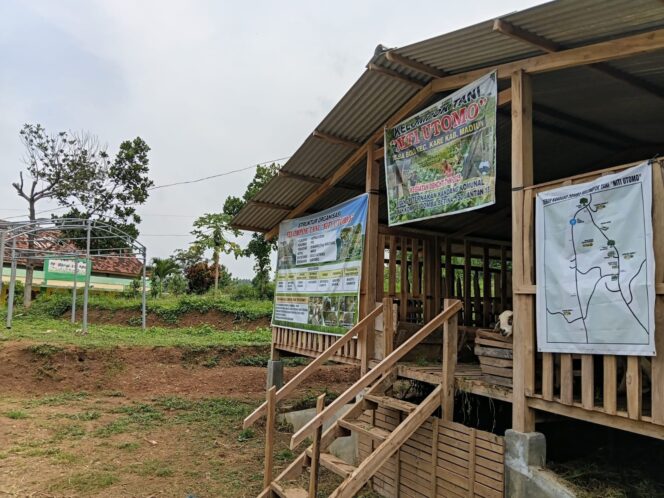 
					Melalui program Unit Pengolah Pupuk Organik (UPPO) DKPP setempat, sejak 11 Desember 2025, menggelontorkan bantuan berupa ternak kambing sebanyak 143 ekor, termasuk berbagai kebutuhan pendukungnya kepada Poktan 