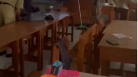 Tidak ada aktivitas belajar mengajar di SDN 1 Batuporo Timur, Sampang, Madura. tetapi setiap hari mendapat pasokan 63 porsi MBG. Setelah diivesytigasi Diknas, mulai 21 Januari 2026, pasokan dihentikan sementara. Foto: Instagram@sampangterkini