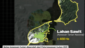 Hasil analisis lahan sawit di hulu Aceh Tamiyang, sekitar 45.000 hak lebih. Sebanyak 13.000 ha diantaranya status misterius, sedangkan lahan yang sudah digunduli itu diduga akan dijadikan lahan sawit. Foto: tangkap video Youtube@ Ridho Rahmadi