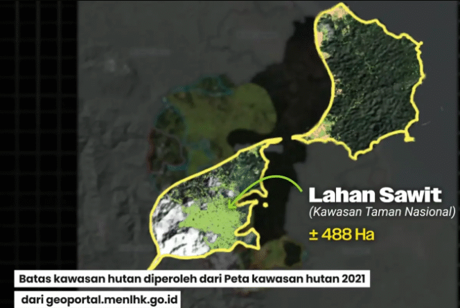 
					Hasil analisis lahan sawit di hulu Aceh Tamiyang, sekitar 45.000 hak lebih. Sebanyak 13.000 ha diantaranya status misterius, sedangkan lahan yang sudah digunduli itu diduga akan dijadikan lahan sawit. Foto: tangkap video Youtube@ Ridho Rahmadi