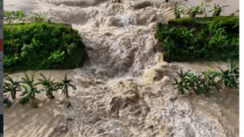 Dua tanggul sungai Tuntang, Tanggul Sungai Tuntang yang jebol berada di wilayah di dua titik jebolan yakni Dukuh Dempel (Desa Pilangwetan) dan Dukuh Wareng (Desa Kebonagung) di sepanjang Jalan Raya Semarang-Purwodadi, Senin 16 Febaruari 2026. Foto: Instagram@a6_gabuts