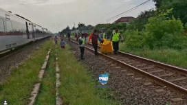 Petugas sedang mengevakuasi korban yang terseret d 3 km, setelah tersdambar KA Argo Merbabu, pasca subuh diduga sedang ngonten, Sabtu pagi Februari 2026. Foto: Instagram@batanghelp