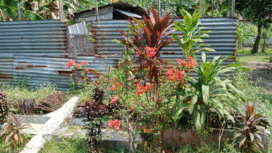 Situs penting dan perlu mendapatkan perhatian dai pemkab Jombang adalah titik nol rumah tempat kelahiran Proklamator RI, Ir Soerkanro, di Ploso, Jombang. Foto: kredonews.com/ elok apriyanto