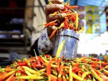 Cabai terus menyengat