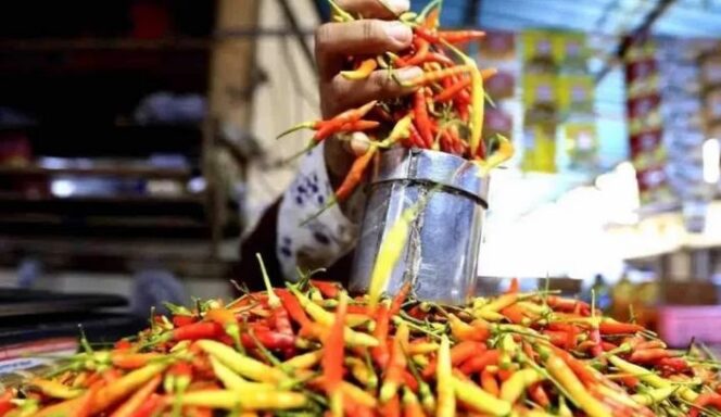 
					Cabai terus menyengat