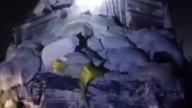 Tepung berantakan di jalanan, akibat KA Blambangan Ekspress tavrak truk di perlitasan sebidan di Leces, Pronolinggo. Foto: Instagram@oreng_probolinggo