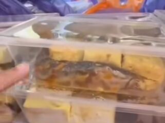 Kepala sekolah SMAN2 Pamekasan, Madura, tolak 1.022 paket MBG, karena ikan lele ada yang mentah, Senin 9 Maret 2026. Foto: 