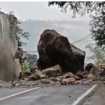 Longsor yang terjadi sejak Selasa malam, 3 Maret 2026. menyebabkan sebuah batu besar melintas di JLS (Jalur Lintas Selatan) Km 16 di desa Nglinggis Trenggale, menutup jalan, hingga saat ini batu bekum bisa dipindahkan. Jalur Trenggalek-Ponorogo, masih tutup total. Foto: ist