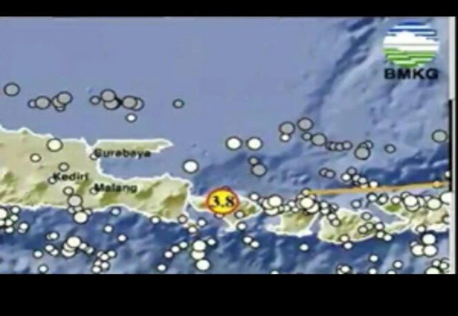 
					Iilustrasi gempa. Foto: BMKG
