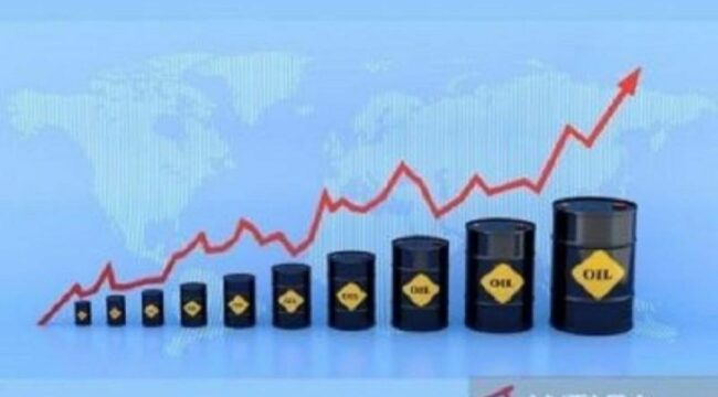 Ilustrasi kenaikkan harga minyak mentah dunia. Foto: antara