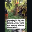 Inilah kawasan hutan disebut dengan Alas Petung, di Ruas jalan poros Bubulan–Temayang, tepatnya di kawasan Alas Petung (Desa Clebung, Kecamatan Bubulan, Kabupaten Bojonegoro), menjadi sorotan karena terjadi sekitar 12 kecelakaan dalam waktu sekitar sebulan. Foto: Instagram@beritabojonegoro3