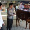 Kapolres Jombang saat serahkan langsung bantuan hewan kurban dari Kapolda Jatim