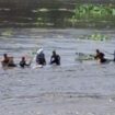 Warga di sekitar aliran sungai Brantas, dekat PLTA Wlingi, masuk sungai untuk menangkap ikan saat terjadi flushing di bendungan, Senin 18 Mei 2026. Foto: ist
