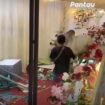 Sapi limousine kaget mendengar dentuman musik keras. Hewan korban ini mengamuk. Merusak tendan dan pelaminan, Selasa 26 Mei 2026 di Purwokerto, Jateng. Foto: instagram@pantaucom