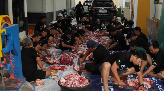 Panitia sedang sibuk berat membungkus saging menjadi 1.000 pajet, acara Id Adha PT Pegadaian Kanwil XII Surabaya potong 11 ekor sapi dan 78 ekor kambing. Foto: ist