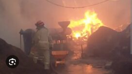 Mobil unit damkar dan pasukannya berjibaku selama sekitar 5 jam  saat pafamkan kebakaran di Mojowarno, Jombang, Sabtu pagi 30 Mei 2026. Foto: ist