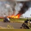 Kebakaran menimpa kadang ayam di Dusun Bantengan, Desa Tanjunggunung, Kecamatan Peterongan, Kabupaten Jombang, Jawa Timur. Pemilik mengaku investasi Rp 2 miliar amblas. Foto: pojok_update