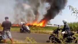 Kebakaran menimpa kadang ayam di Dusun Bantengan, Desa Tanjunggunung, Kecamatan Peterongan, Kabupaten Jombang, Jawa Timur. Pemilik mengaku investasi Rp 2 miliar amblas. Foto: pojok_update