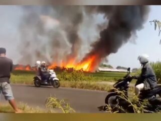 Kebakaran menimpa kadang ayam di Dusun Bantengan, Desa Tanjunggunung, Kecamatan Peterongan, Kabupaten Jombang, Jawa Timur. Pemilik mengaku investasi Rp 2 miliar amblas. Foto: pojok_update